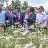 504429220_712743208286370_4950801003825705026_n