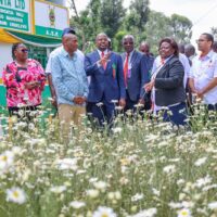 515278312_712743171619707_6102606296487778921_n